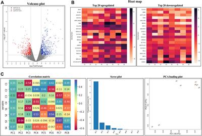 Multiomics analysis reveals the mechanical stress-dependent changes in trabecular meshwork cytoskeletal-extracellular matrix interactions